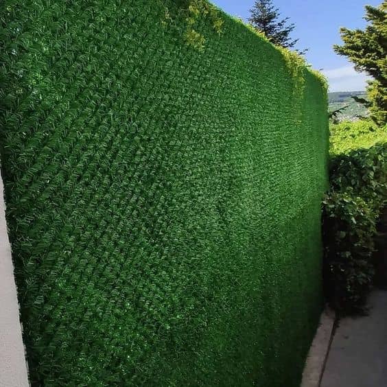 فنس چمن مصنوعی برای دیوار باغ و ویلا در شهر ابوظبی